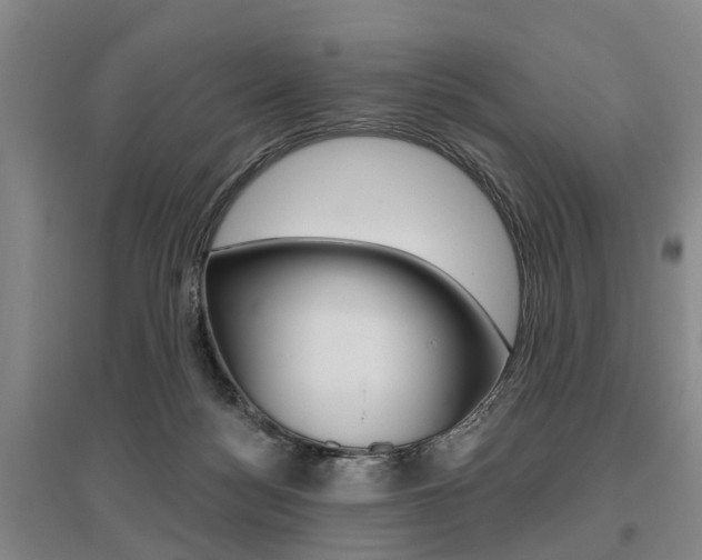 X0000095880172200801110813