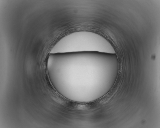 X0000095880173200801110813
