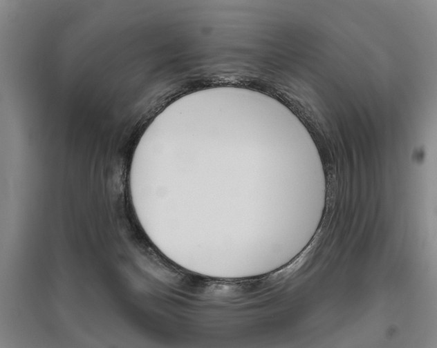 X0000095880174200801110813