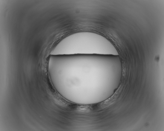 X0000095880175200801110813