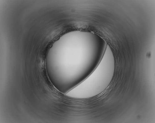 X0000095880176200801110813