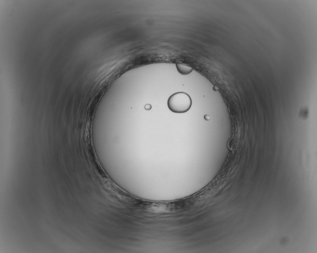 X0000095880177200801110813
