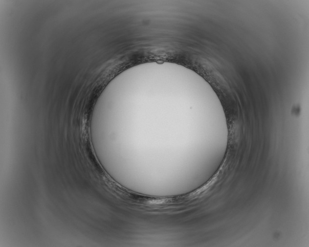 X0000095880178200801110813