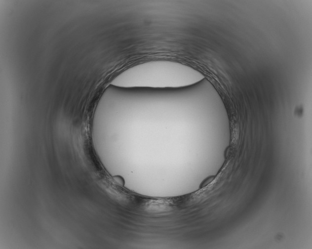 X0000095880179200801110813