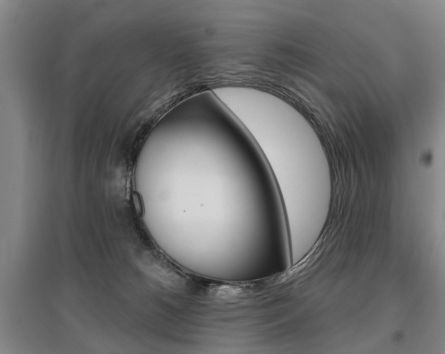 X0000095880180200801110813
