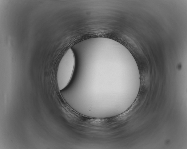X0000095880182200801110813