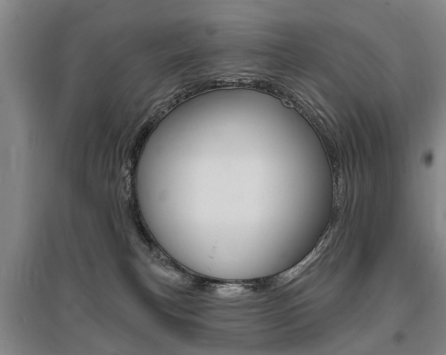 X0000095880183200801110813