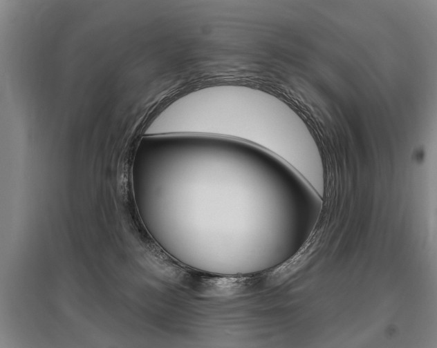 X0000095880184200801110813