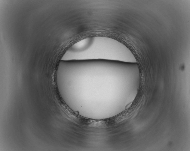 X0000095880185200801110813