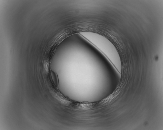 X0000095880188200801110813