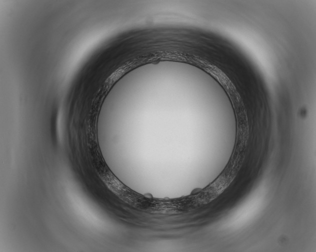 X0000095880189200801110813