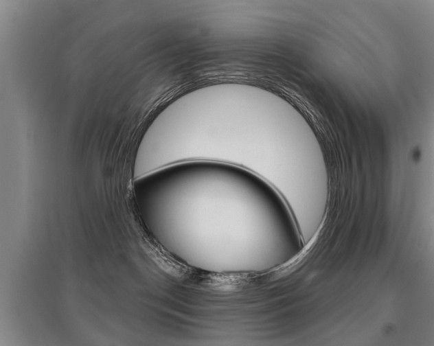 X0000095880190200801110813