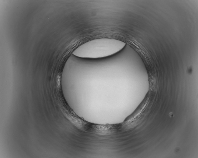 X0000095880191200801110813
