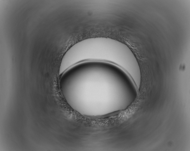 X0000095880192200801110813