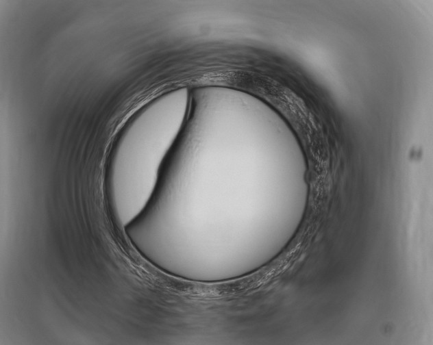 X0000095880194200801110813