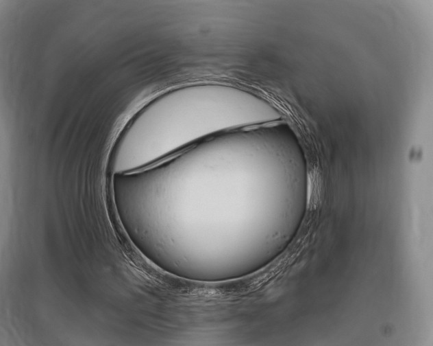 X0000095880195200801110813