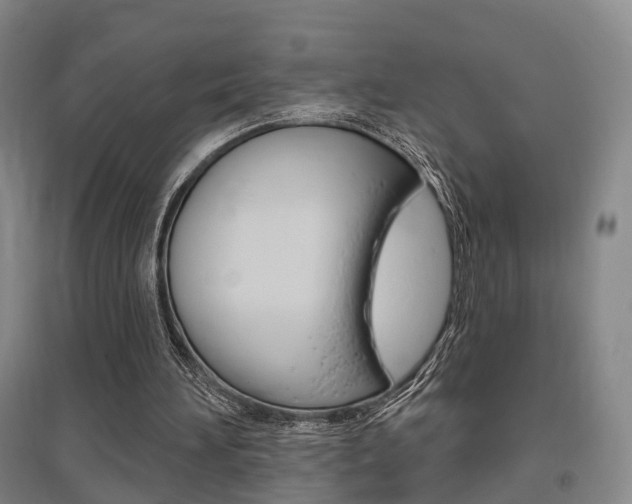 X0000095880196200801110813