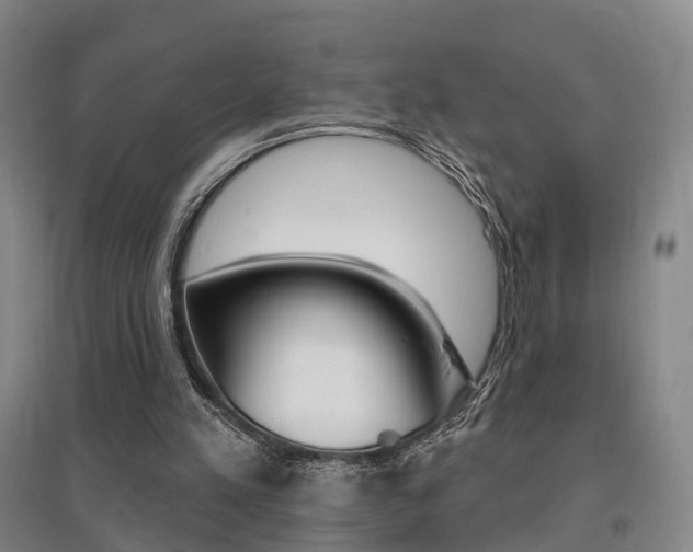 X0000095880197200801110813