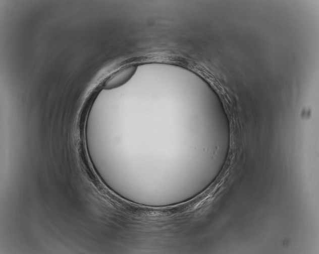 X0000095880198200801110813