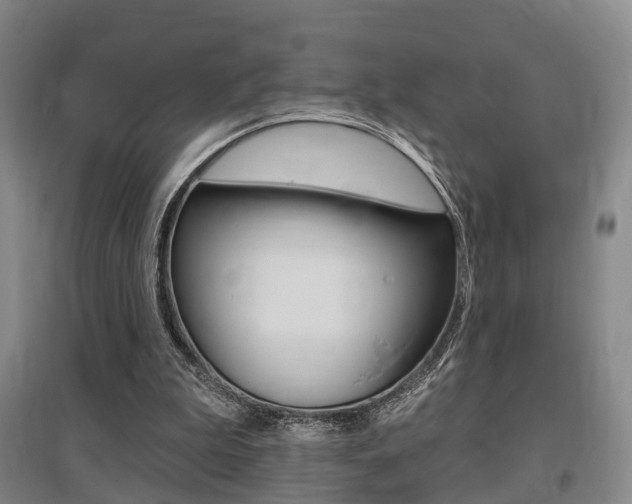 X0000095880199200801110813