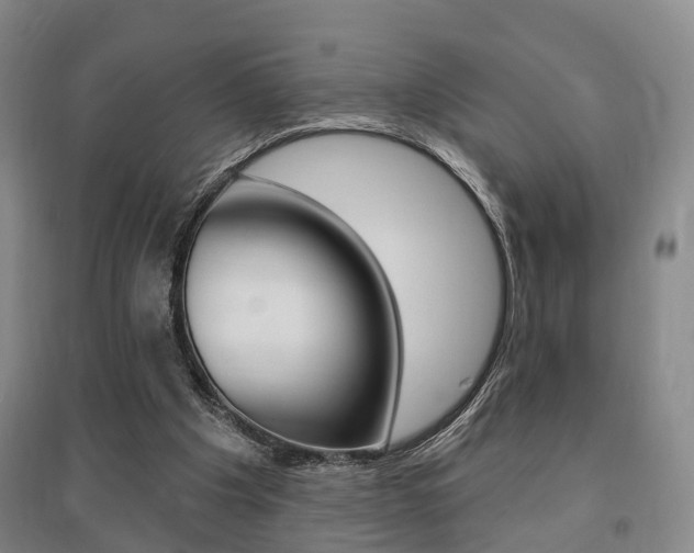 X0000095880201200801110813