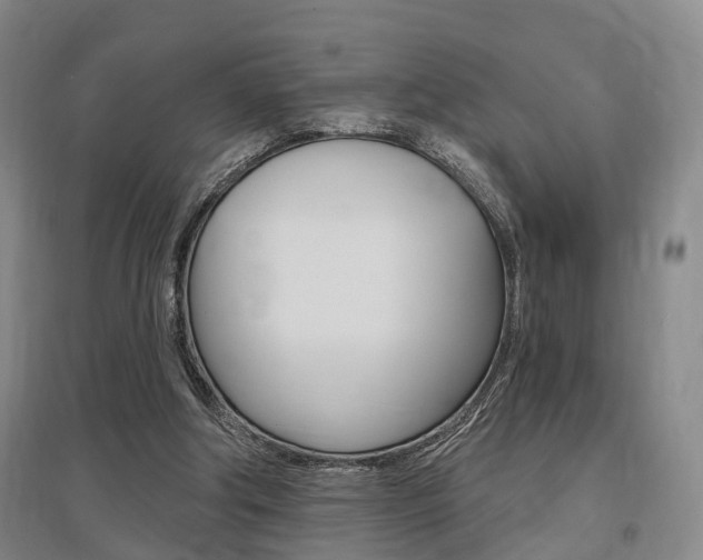 X0000095880202200801110813