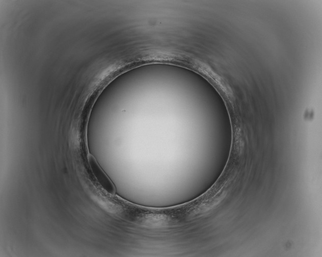 X0000095880203200801110813