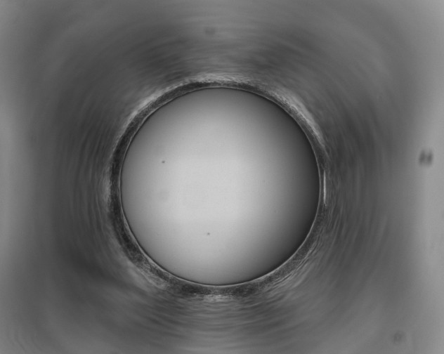 X0000095880204200801110813