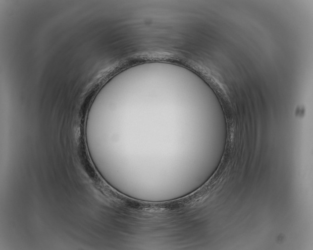 X0000095880206200801110813