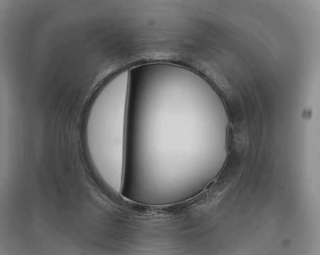 X0000095880207200801110813