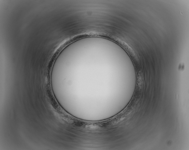 X0000095880208200801110813