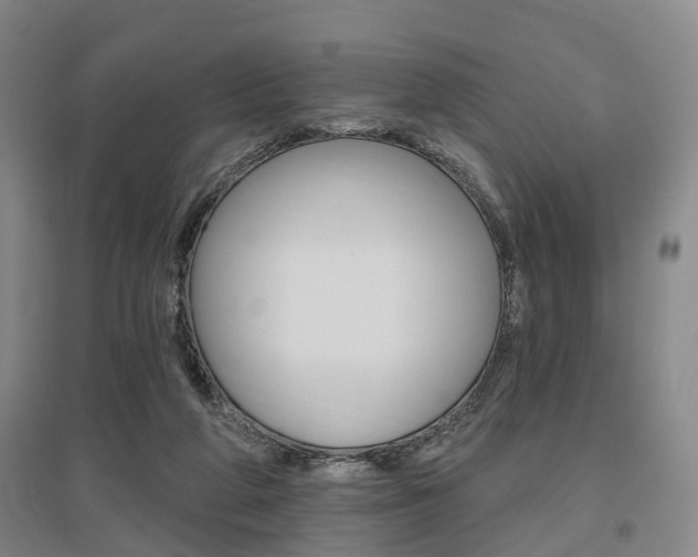 X0000095880210200801110812