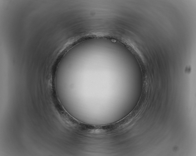 X0000095880212200801110812