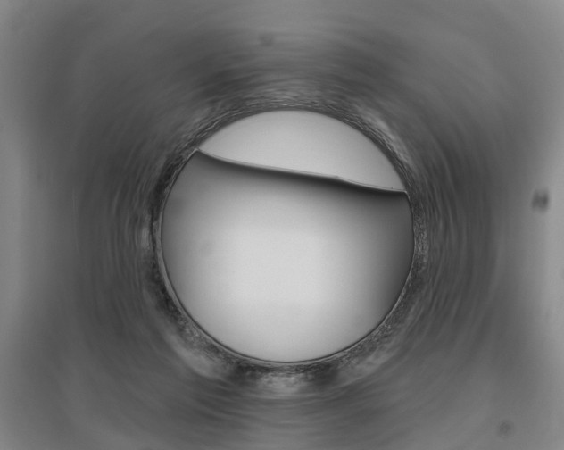 X0000095880213200801110812