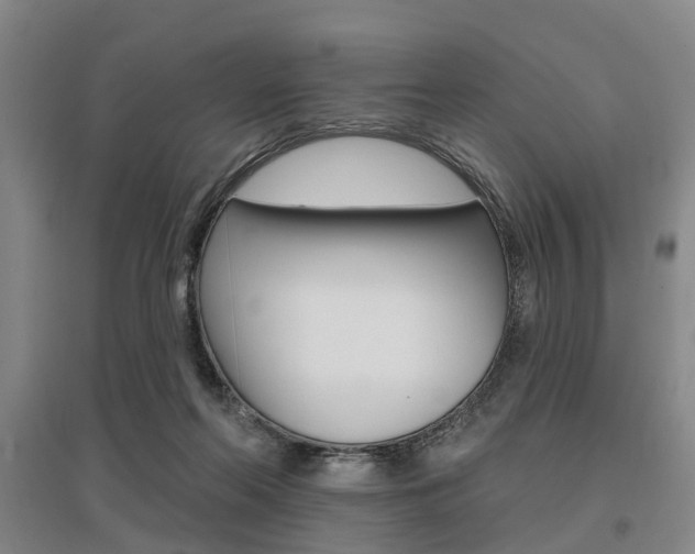 X0000095880214200801110812