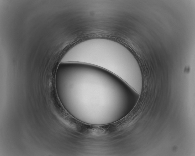 X0000095880215200801110812