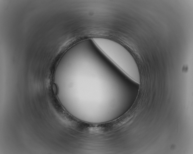 X0000095880216200801110812