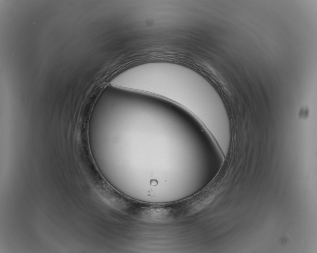 X0000095880217200801110812