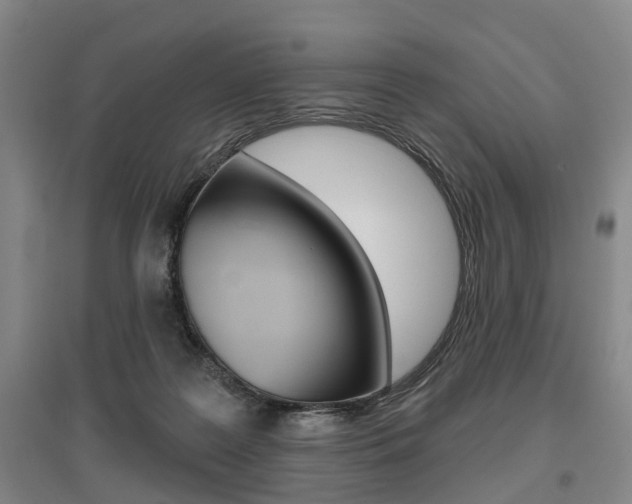 X0000095880219200801110812