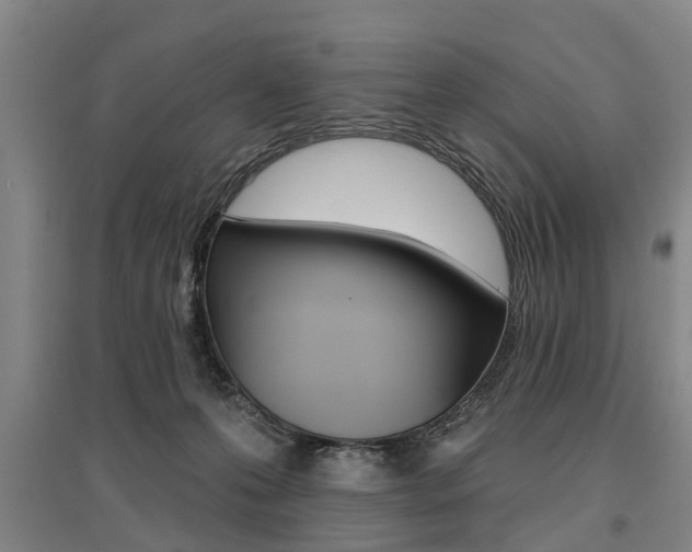 X0000095880223200801110812