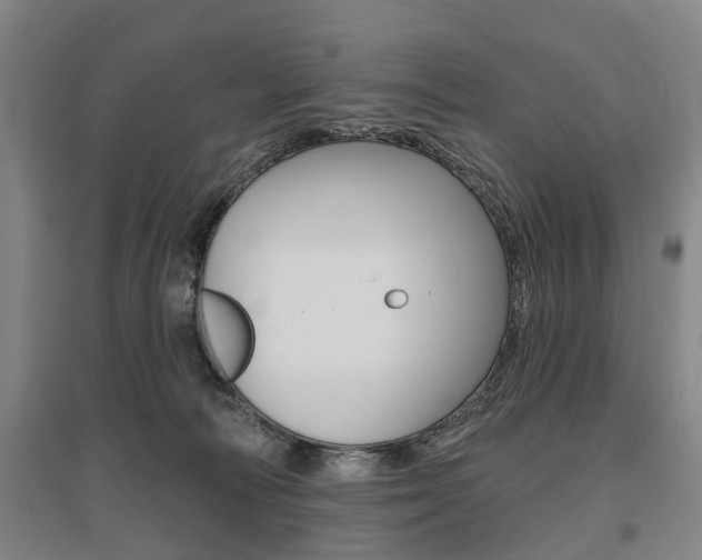 X0000095880226200801110812