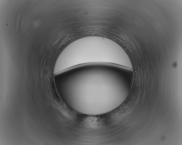X0000095880227200801110812