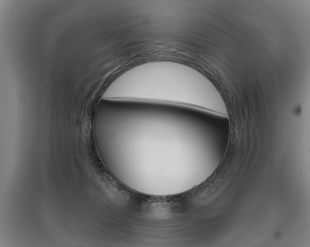 X0000095880228200801110812