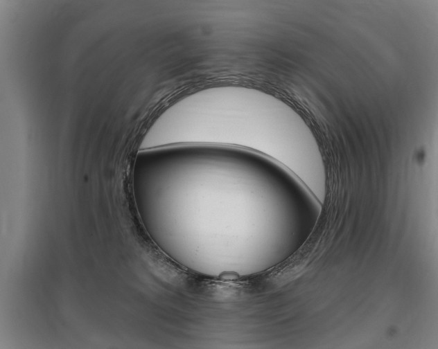 X0000095880229200801110812