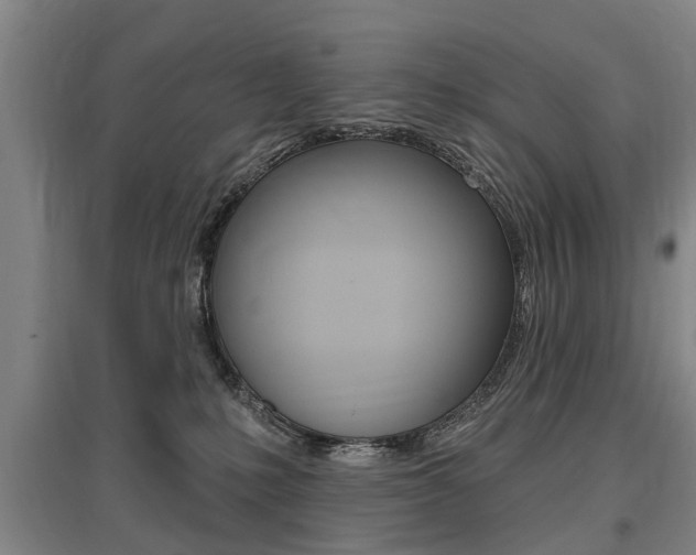 X0000095880231200801110812