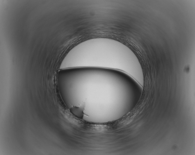 X0000095880233200801110812