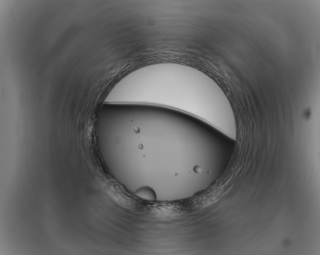 X0000095880235200801110812