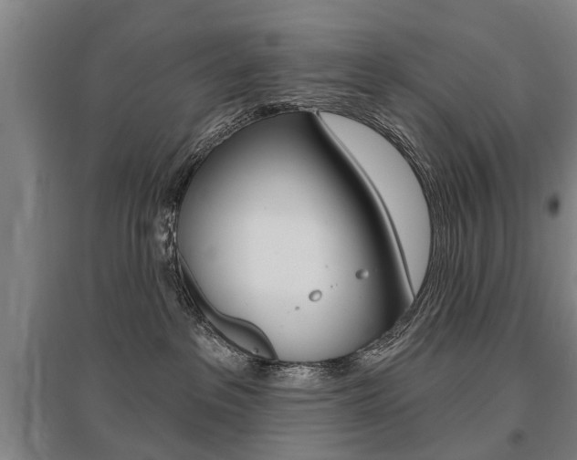 X0000095880237200801110812