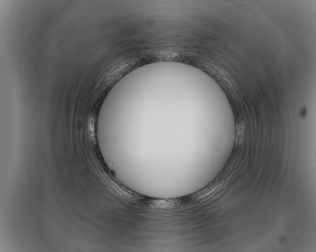 X0000095880238200801110812
