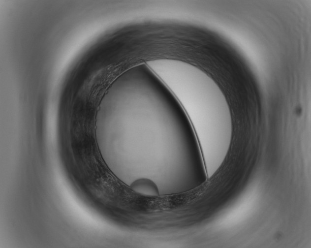 X0000095880239200801110812